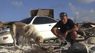 Dog spotted by drone and rescued in Bahamas after Hurricane Dorian - By Douglas Thron Infrared