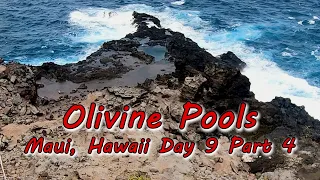 Olivine Pools, West Shore Tour - Maui, Hawaii Day 9 Part 4