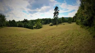 20 Acre Farm For Sale in the Blue Ridge Mountains of Virginia