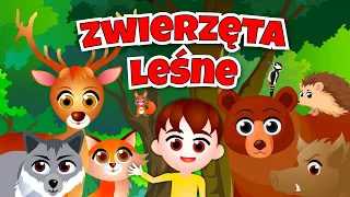 Kazio i LEŚNE ZWIERZĘTA film edukacyjny dla dzieci 🦊 Mieszkańcy i warstwy lasu 🌳