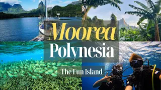 Moorea, the most fun island in French Polynesia! / What to see and do in a week? / Trip Summary