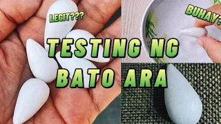 PAGTESTING NG BATO ARA KUNG TUNAY AT BUHAY ITO|Philippines