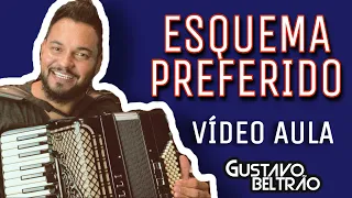 VÍDEO AULA: ESQUEMA PREFERIDO - DJ IVIS (NA SANFONA) DICAS, MACETES, INTRODUÇÃO E BASE