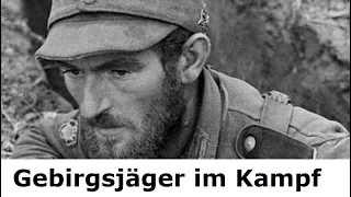 Gebirgsjäger an vielen Fronten / Teil 1 /  Erlebnisbericht eines Überlebenden 1943 - 1945