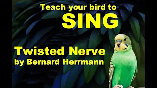 Teach your bird to whistle Twisted Nerve as heard in Kill Bill / AHS. 1 hour, black screen.