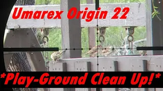 Umarex Origin .22 Part 1 *Play-Ground Clean Up!*  Pest Control ( 2-3 months review on the Airgun )