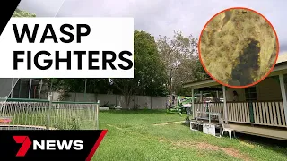 Brighton mother finds monster wasp nest in newly purchased home | 7 News Australia