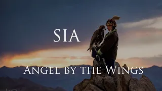 Sia - Angel by the wings (beautiful ending mix)