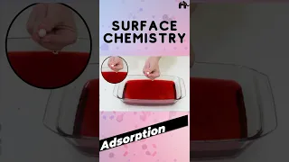 Surface Chemistry Class 12 Chemistry |  Adsorption and Absorption #shorts