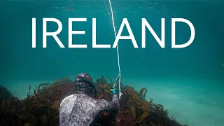 Spearfishing In IRELAND Cinematic Underwater Video