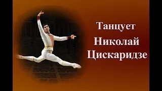 Танцует Николай Цискаридзе. Nikolai Tsiskaridze is dancing