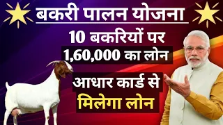 10 बकरियों पर मिलेगा 1,60,000 रुपया लोन |  Bakari Loan Kaise Milega | Goat Farming Loan Apply |