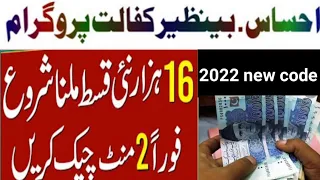 How To Check Ehsaas Payment In 1 Minute || Check Ehsaasafalat Payment At Home Online New Portal 2022