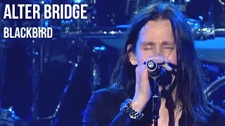 Alter Bridge - Blackbird (Live)