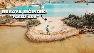 DENİZDE FIRTINA ANI! | Adayı fareler bastı  | Part 3