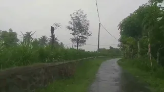 Relaxing Walk in the Middle of Heavy Rain | Walking through village lanes in eastern Indonesia