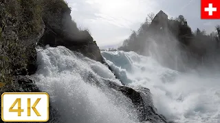 Rhine Falls, Switzerland | Spring 2021【4K】