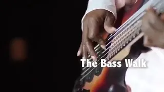 MAXWELL'S ALL Stars. The Bass walk. Pee Wee Hill. Abraham Laboriel.