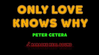 Peter Cetera - Only Love Knows Why [Karaoke Real Sound]
