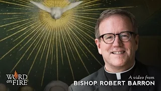 Bishop Barron on Confirmation and Evangelization