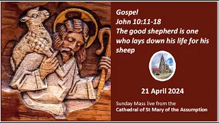 Good Shepherd Sunday - 4th Sunday of Eastertide [11am Mass]