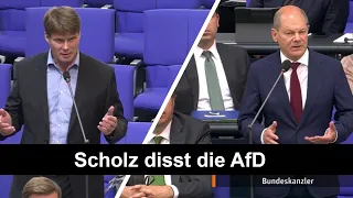 Scholz bezeichnet die AfD als realitätsfern