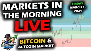 MARKETS in the MORNING, 3/1/2024, Bitcoin $62,600, Market Caps Retrace Levels, DXY 103, Gold Up