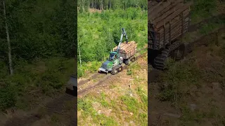 Norwegian Beauty in Motion: John Deere Forwarder Unleashes its Might in Nature's Playground!