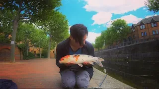 the London Carp NOBODY thought Existed - Street Fishing the City ft. Special Finds & Searches