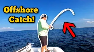 OFFSHORE Fishing In The Mako Pro Skiff 17! **Surprise Catch**