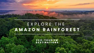 Exploring the Amazon Rainforest: A Treasure Trove of Biodiversity and Natural Wonders