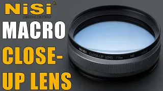 NiSi 77m & 58mm Close Up Lens - Affordable and convenient macro photography