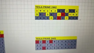 Tesla Prime 2443 Fenomenal..