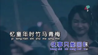 Wang Shi Zhi Neng Hui Wei  - dj - no vocal