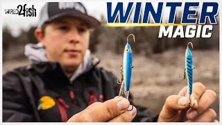 4 Proven Winter Bass Baits | Cody Huff’s Top Picks