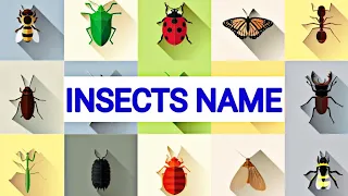 INSECTS FOR KIDS Learning - Insect Names, Spelling in English for Children, Toddler's......