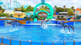 [June 2022] Dolphin Adventures Full Show - Seaworld San Diego