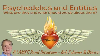 LAMPS Panel Discussion: Psychedelics and entities. What are they and what should we do about them?
