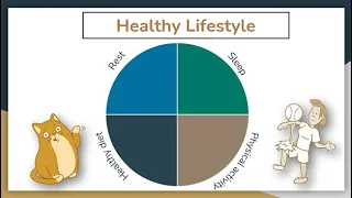 Healthy Lifestyle | Урок по английскому языку по теме Здоровый образ жизни