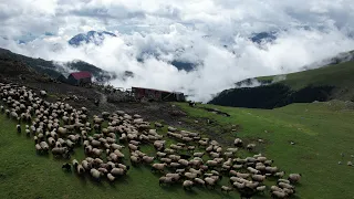 Bulutların Üstünde Zirvedeki Yaşam - Belgesel