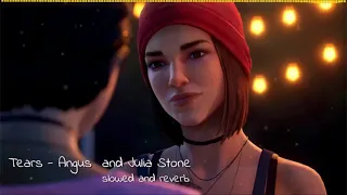 Tears - Angus and Julia Stone [Life is Strange True Colors] (slowed and reverb)