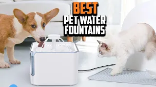 Top 10 Best Pet Water Fountains in 2023 Reviews
