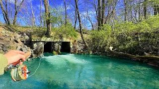 Brook Trout Bliss: Fly Fishing Adventures in Untamed Waters