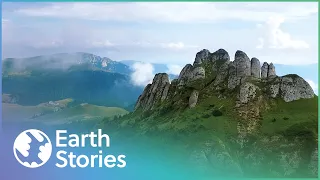 Protecting One Of Europe's Largest Mountain Ranges | Wild Carpathia | Earth Stories