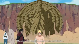 Naruto Belajar Mokuton dengan Hashirama Edo Tensei - Kekuatan baru Naruto untuk melindungi Konoha
