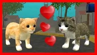 СИМУЛЯТОР КОТЕНКА #20 РОДИЛСЯ КОТЕНОК кошка забеременела в Cat Sim