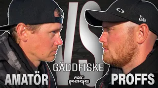 Amatör VS Proffs - En duell i gäddfiske!