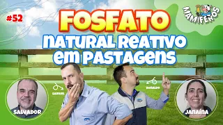 FOSFATO NATURAL REATIVO EM PASTAGENS