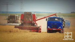 Fortschritt E 516 / 514 SX / IFA L60 / IFA W 50 "Auftrag im Hafer"