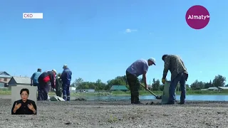 Рыба гибнет в озере Карабек в СКО (07.07.21)